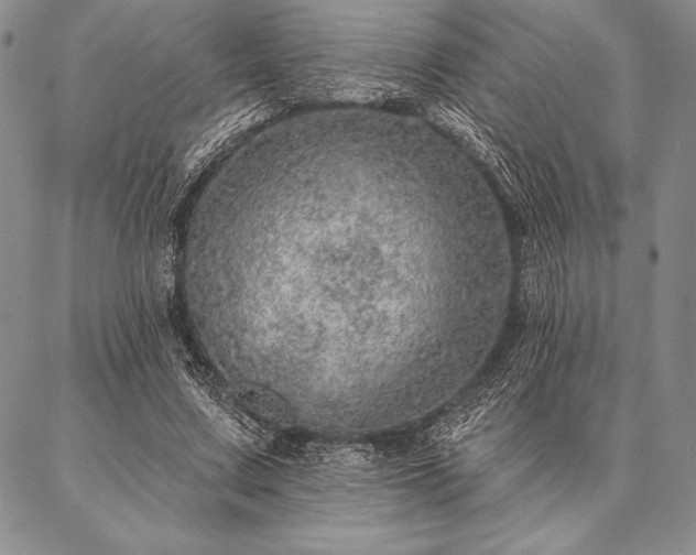 X0000087380683200704271558