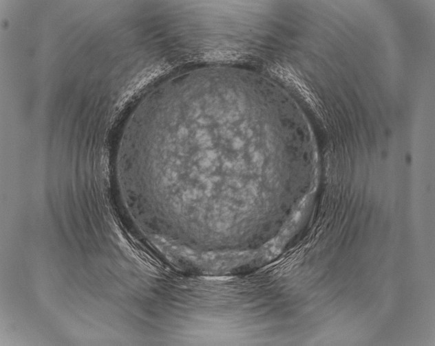 X0000087380684200704271558