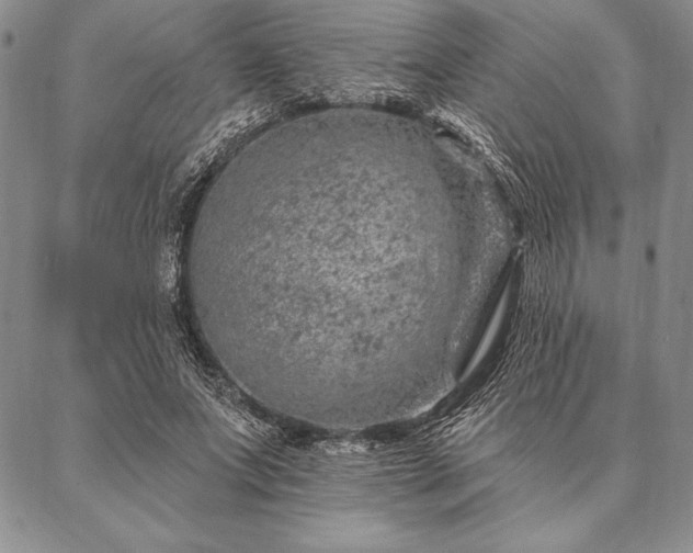 X0000087380687200704271558