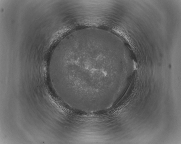 X0000087380688200704271558