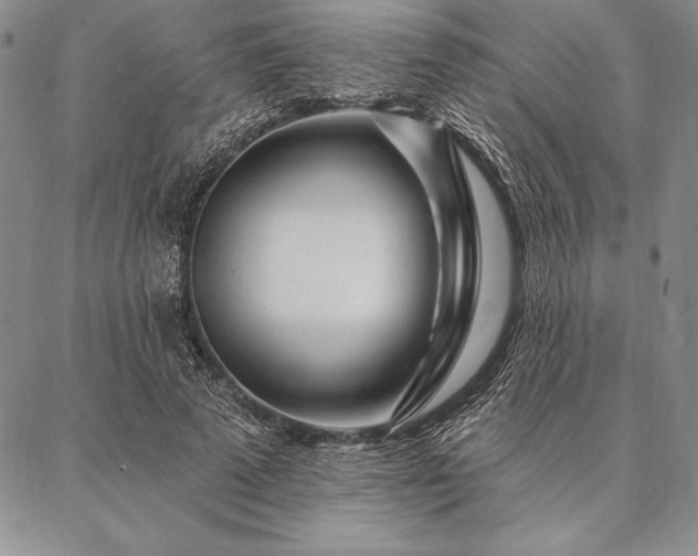 X0000087380689200704271558