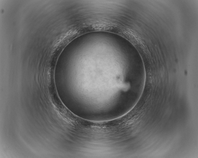 X0000087380690200704271558