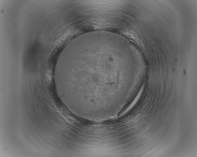 X0000087380691200704271557