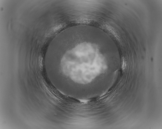 X0000087380692200704271557