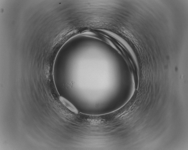 X0000087380693200704271557