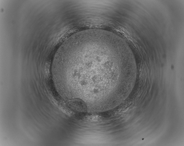 X0000087380695200704271557