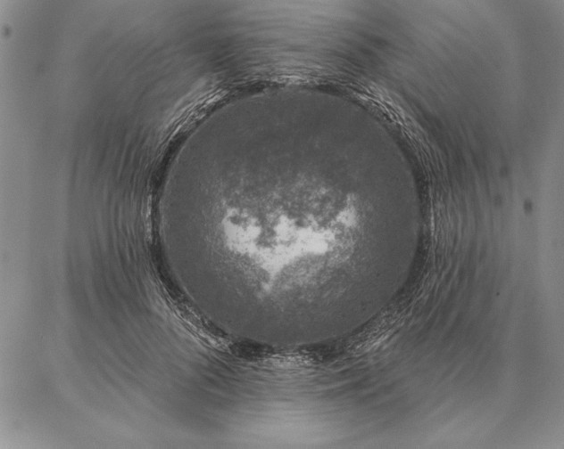 X0000087380696200704271557