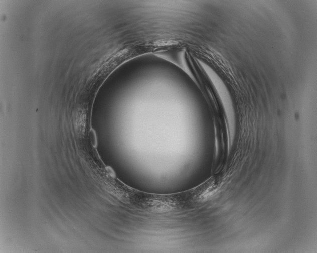 X0000087380697200704271557