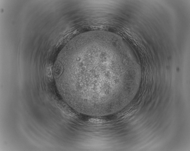 X0000087380699200704271557