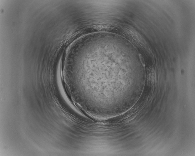 X0000087380700200704271557