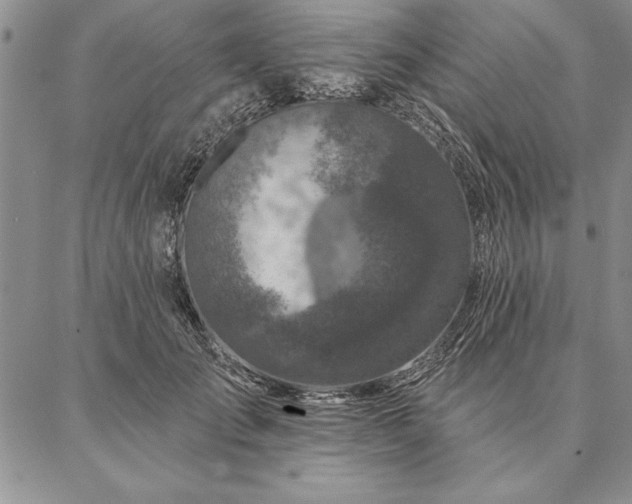 X0000087380701200704271557