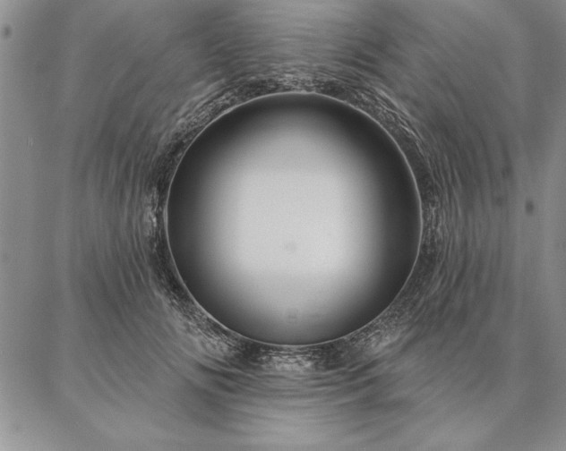 X0000087380702200704271557