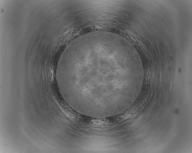 X0000087380703200704271557