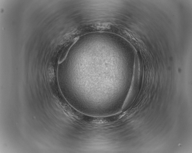 X0000087380704200704271557