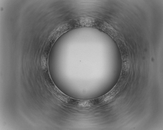 X0000087380705200704271557