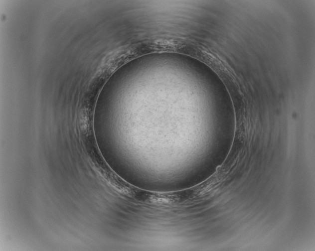 X0000087380706200704271557