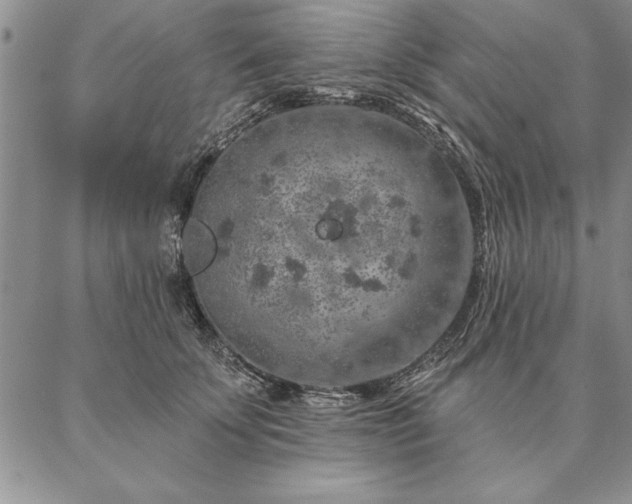 X0000087380707200704271557