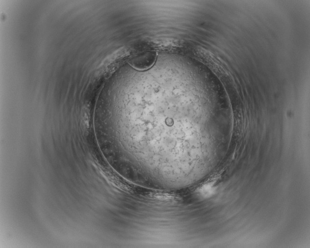 X0000087380710200704271557