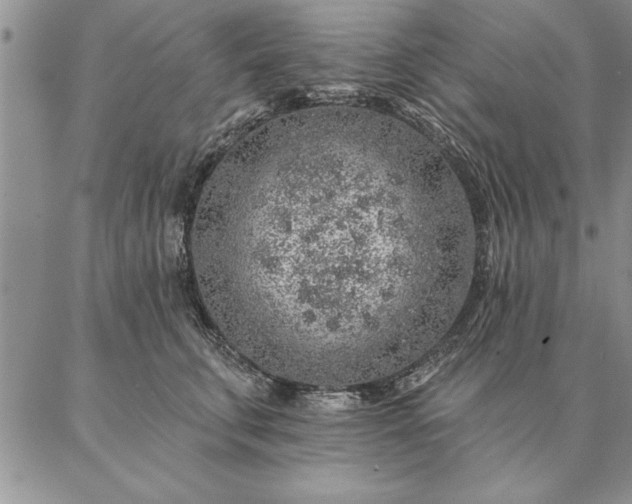 X0000087380711200704271557