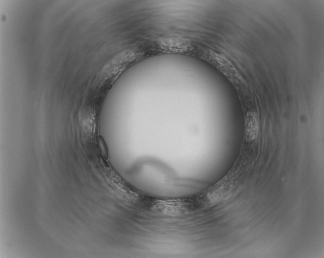 X0000087380713200704271557