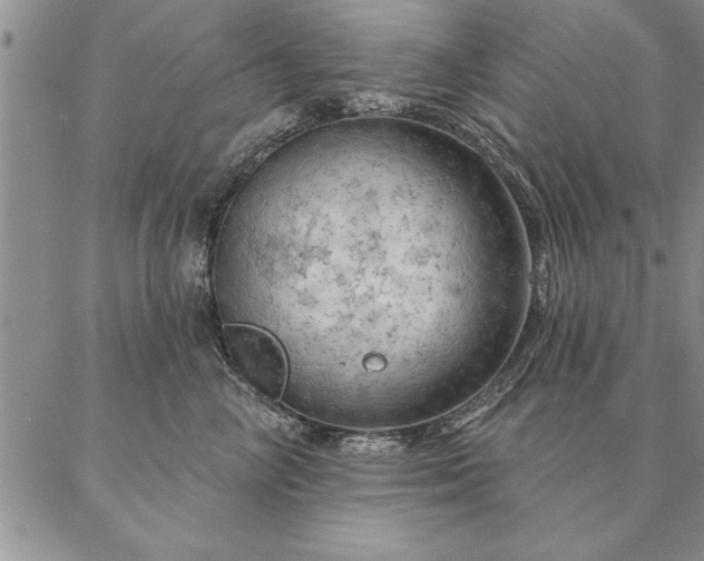 X0000087380714200704271557