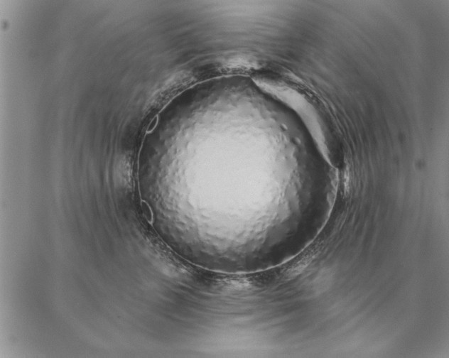 X0000087380715200704271557