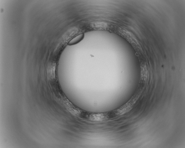 X0000087380717200704271557