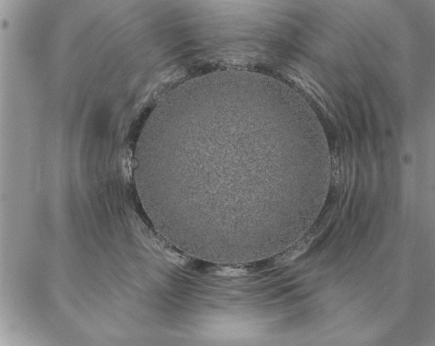 X0000087380718200704271557