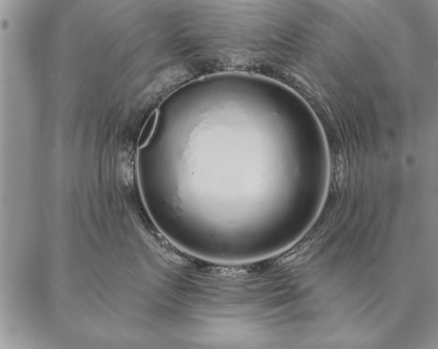 X0000087380719200704271557