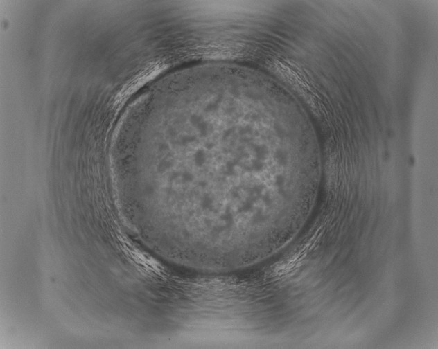 X0000087380721200704271556