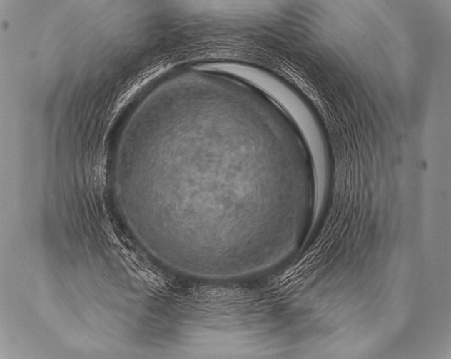 X0000087380722200704271556