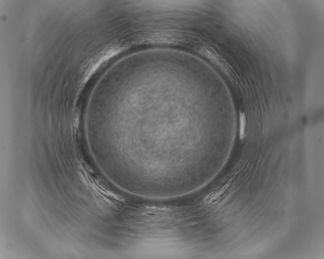 X0000087380723200704271556