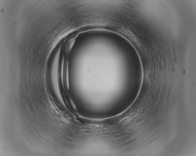 X0000087380724200704271556