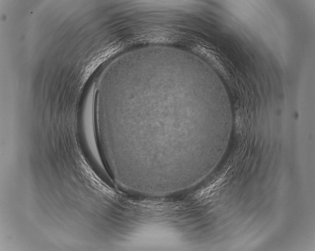 X0000087380725200704271556