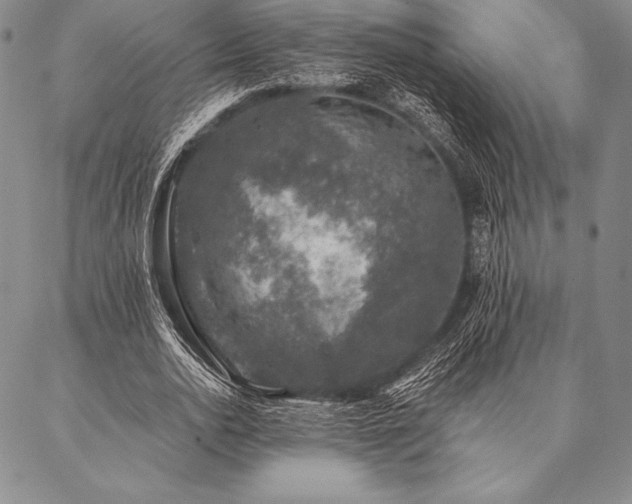 X0000087380726200704271556