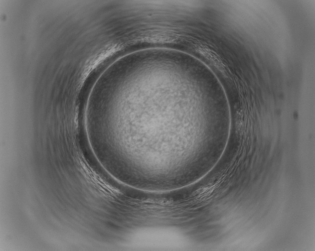 X0000087380727200704271556