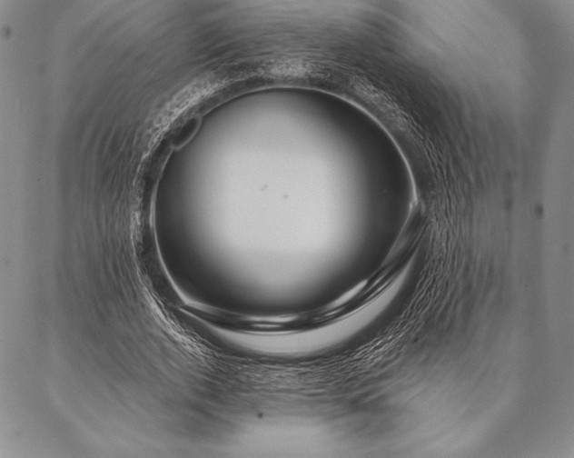 X0000087380728200704271556