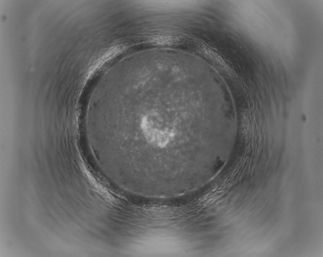 X0000087380730200704271556