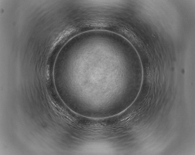 X0000087380731200704271556