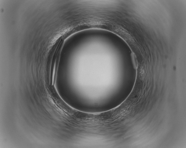 X0000087380732200704271556