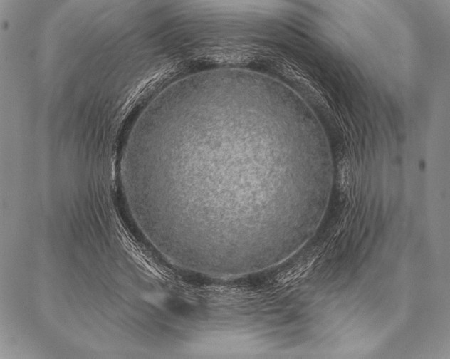 X0000087380733200704271556