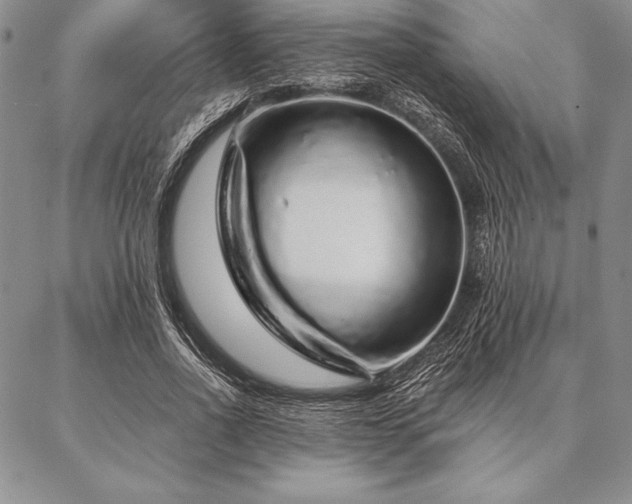 X0000087380734200704271556