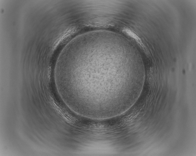 X0000087380735200704271556