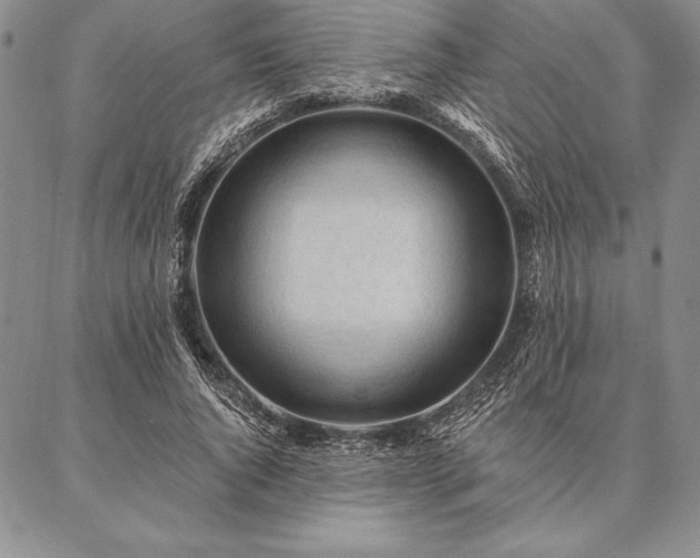 X0000087380736200704271556