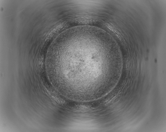 X0000087380737200704271557