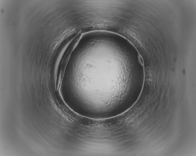 X0000087380738200704271557