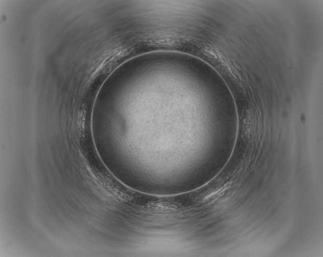 X0000087380739200704271557