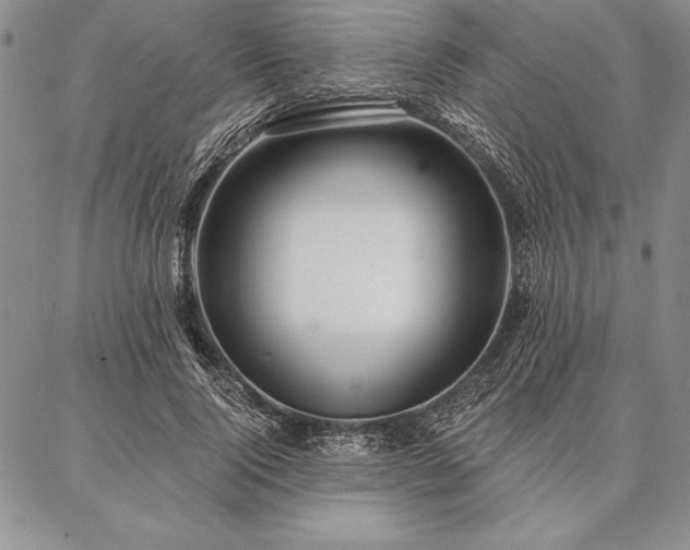 X0000087380740200704271557