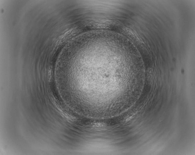 X0000087380741200704271557