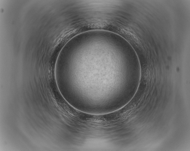 X0000087380743200704271557